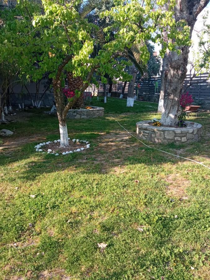 Appartamento Sofia'S Garden Néa Péramos Esterno foto