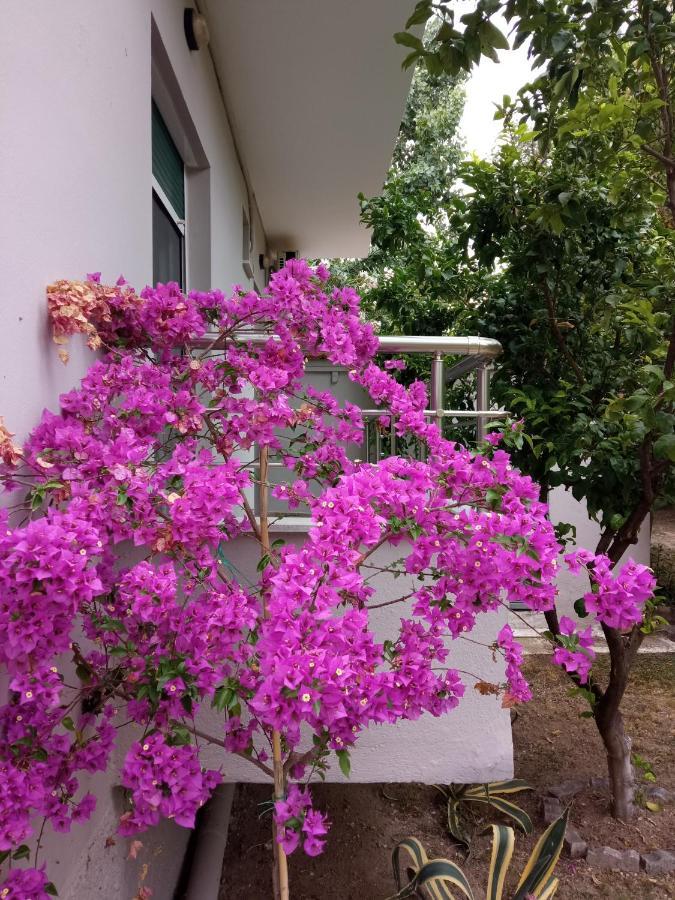 Appartamento Sofia'S Garden Néa Péramos Esterno foto