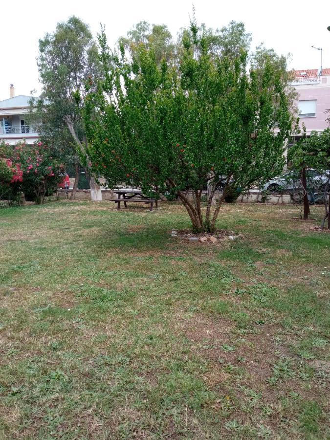 Appartamento Sofia'S Garden Néa Péramos Esterno foto